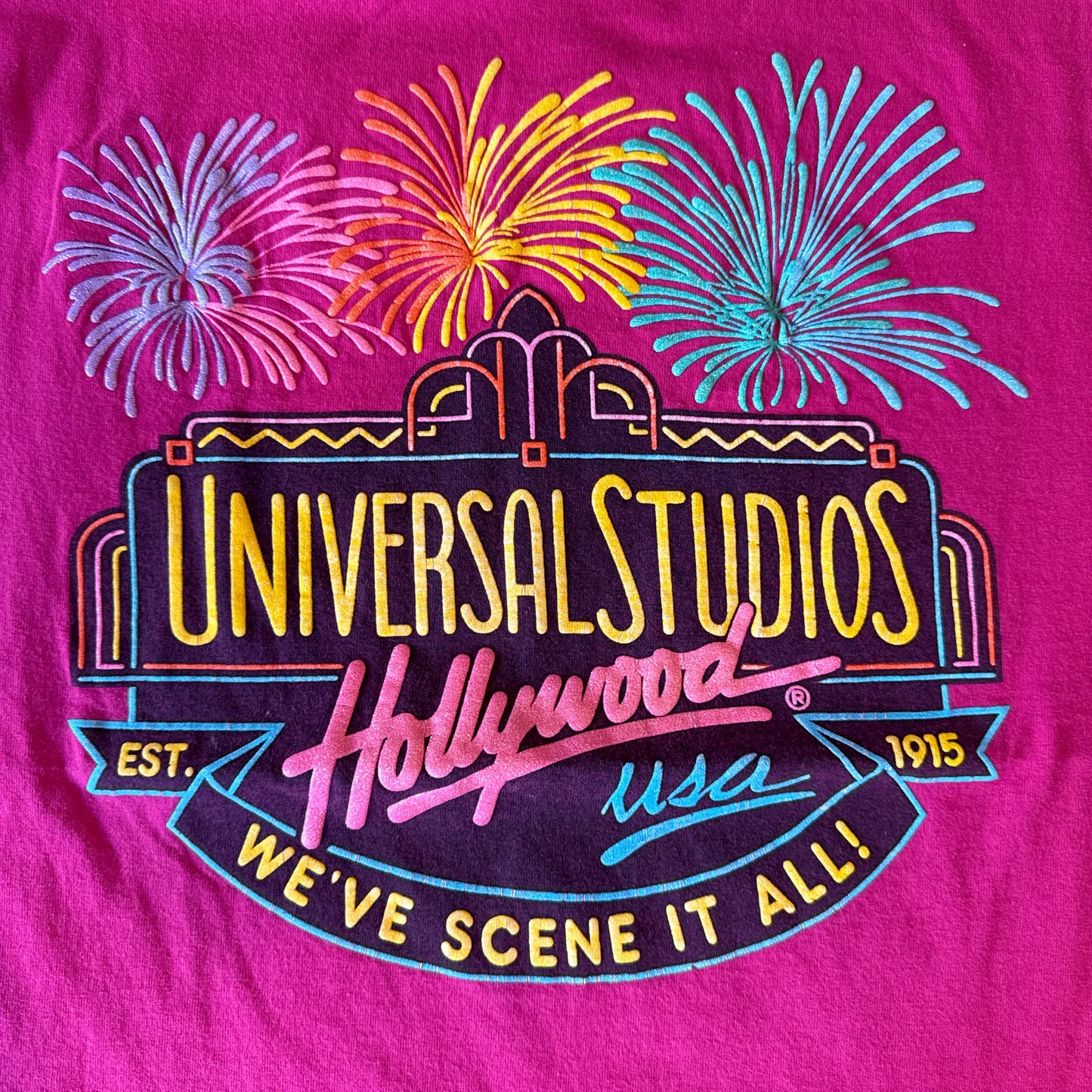 Universal studios Tee (medium)